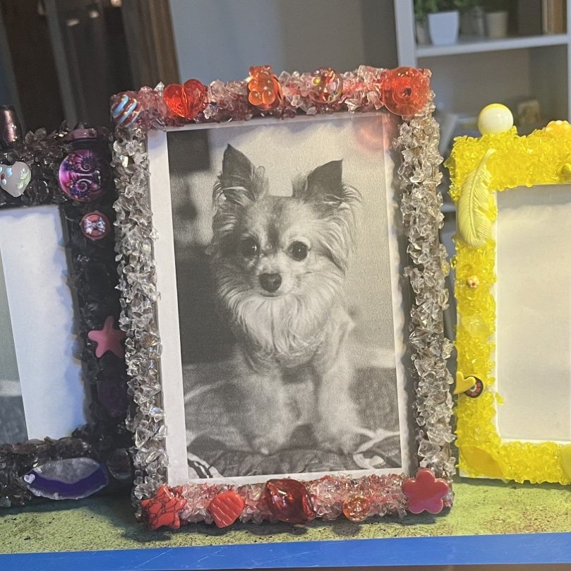 Colorful Picture Frames
