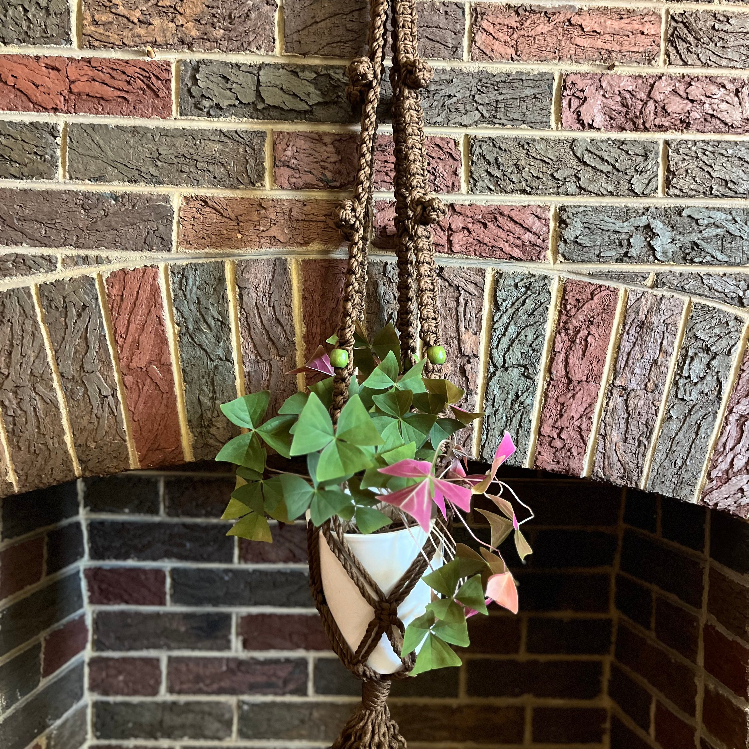 Macrame plant hanger